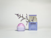 Load image into Gallery viewer, Grape lip balm
